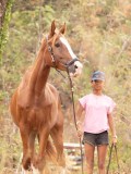 DSC01126