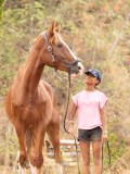 DSC01129