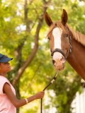 DSC01177 DSC01177