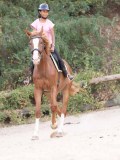 DSC01335 DSC01335