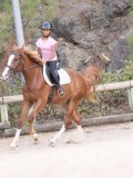 DSC01339 DSC01339