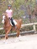 DSC01340 DSC01340