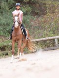 DSC01341 DSC01341