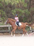 DSC01345 DSC01345