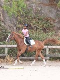 DSC01346 DSC01346