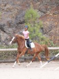 DSC01348 DSC01348