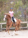 DSC01349 DSC01349
