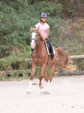 DSC01350 DSC01350