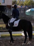 DSC02294 DSC02294