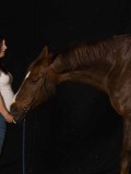 DSC06290