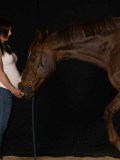 DSC06292