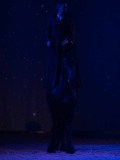 DSC03028