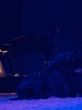 DSC03030