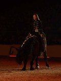 DSC02909