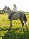 DSC07096