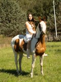 DSC00958