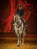 DSC03247-Modifier