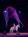 DSC03304