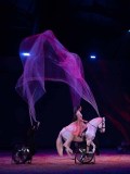 DSC03305
