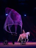 DSC03306