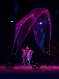 DSC03307
