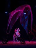 DSC03309