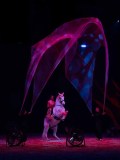 DSC03310