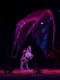 DSC03311