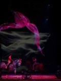 DSC03321