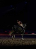 DSC03331