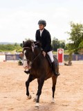 DSC03354 DSC03354