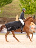 DSC07238 DSC07238