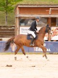 DSC07243 DSC07243
