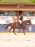 DSC07244 DSC07244