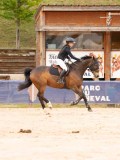 DSC07245 DSC07245