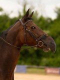 DSC05985 DSC05985