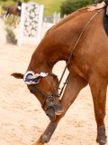 DSC08745 DSC08745