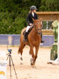 DSC08785 DSC08785