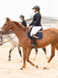 DSC08788 DSC08788