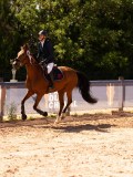 DSC09478 DSC09478