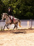 DSC09479 DSC09479