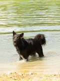 DSC06570